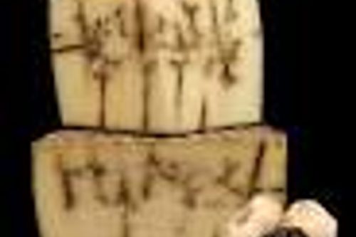 Tomme de Brebis Ail Noir