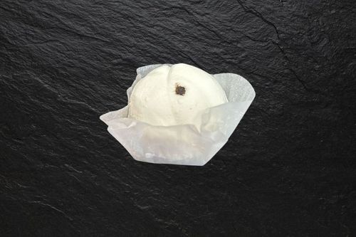 Chèvre Truffe